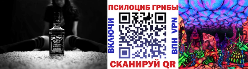 закладки  Краснослободск  Псилоцибиновые грибы Psilocybe 